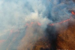 Дымный апрель: чем опасен и что грозит за пал травы