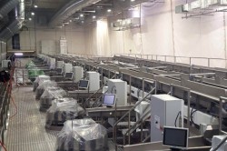 «Фрито Лей Мануфактуринг» откроет новый производственный цех в Кашире