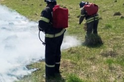 Причина лесных пожаров: каширские спасатели предупреждают об опасности пала сухой травы