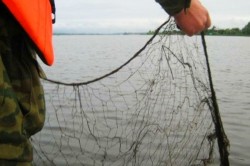 В Кашире осудили браконьера, ловившего сетью рыбу из Оки
