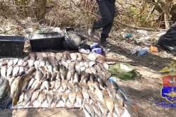 Каширские браконьеры заплатят по 30 тысяч рублей за незаконный вылов рыбы из Оки