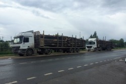 Незаконную перевозку лесоматериала выявили каширские инспекторы ДПС ОГИБДД