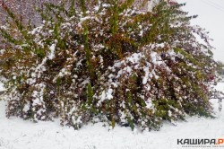 Кашира – среди рекордсменов по количеству выпавшего снега