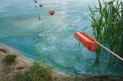 Одно из самых популярных мест для купания у каширян и ступинцев загрязнили неизвестным веществом