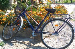 Почтальон из Каширы получил немецкий почтовый велосипед за победу в областном конкурсе