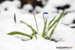 Зимний «нежданчик»: больше 10 сантиметров снега выпало посреди весны в Кашире