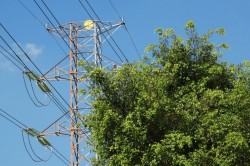 Каширская прокуратура приняла меры в отношении ответственных за электросетевое хозяйство