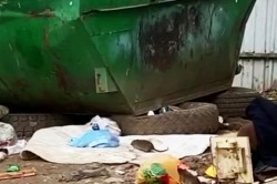 Полчище крыс облюбовало мусорную площадку в Кашире-2