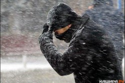Областное МЧС предупреждает о мокром снеге и усилении ветра с порывами до 17 м/с