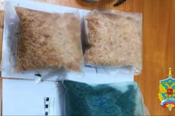 Два килограмма наркотиков изъяли в Кашире у жителя Челябинской области