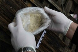 Более 1 килограмма метамфетамина, гашиша и кокаина изъяли в Кашире у жителя Воронежа