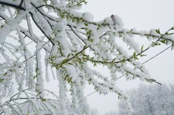 Высота снежного покрова в Кашире побила рекорд за историю метеонаблюдений