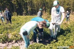 Жасмин, сирень, дерен – какие деревья высадят в Кашире в рамках акции «Лес Победы»