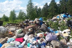 Компания по сортировке отходов в Кокино ответит перед судом за навалы мусора