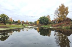 Навесы, скамейки, очистка водоема: в деревне Елькино благоустроили пруд