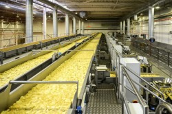 Производство чипсов на заводе «Фрито Лей Мануфактуринг» в Кашире вырастет за счет брянского картофеля