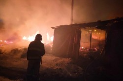 Почти полночи длилась ликвидация пожара в СНТ под Каширой