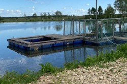 Минэкологии запретило использовать пруд в деревне Кокино для платной рыбалки