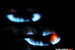 Управляющие компании Каширы оштрафовали на 160 тысяч рублей за нарушения в обслуживании газового оборудования