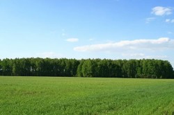 Неплатежеспособный латвийский банк решил продать более 4 млн кв.м. земли в Кашире