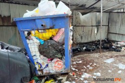 Каширского возчика мусора уличили в картельном сговоре на 157 миллионов рублей