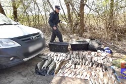В Кашире задержали браконьера за незаконный вылов более 130 особей рыбы