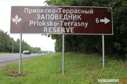 Областной Минтранс опроверг сообщение о намерении строительства дороги из Серпухова в Каширу