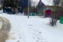 Снегопад в Кашире: рекордная норма и пробки на железной дороге