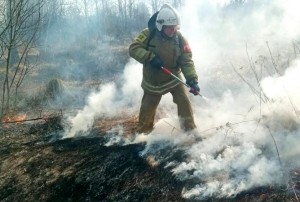 В «Мособлпожспас» показали последствия пала травы в Кашире