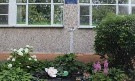 Экологический центр в помощь!