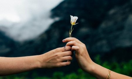 Сила благодарности + практические техники