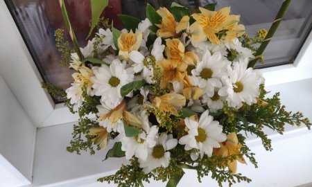 Чем заняться дома в дни самоизоляции?