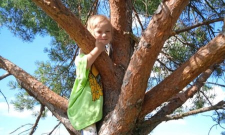 Наблюдаем, экспериментируем, развиваем...