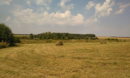 Мысли вслух. Лето и оптимист.