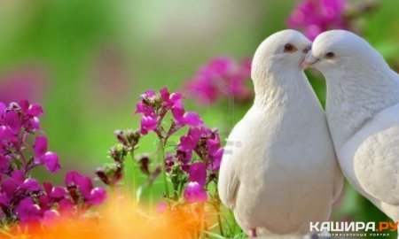 Мысли вслух. Жизнь