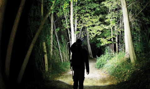 Пропавшую 21-летнюю девушку нашли живой спустя более недели