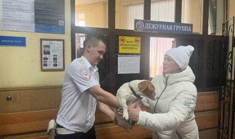 Каширские полицейские спасли на трассе собаку и отыскали ее хозяйку