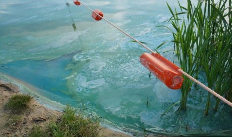 Одно из самых популярных мест для купания у каширян и ступинцев загрязнили неизвестным веществом