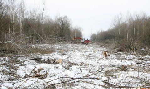 Еще больше теплиц: в Знаменском приступили к строительству нового комплекса