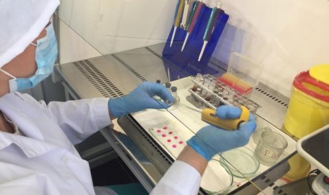 Продукция на экспорт завода «Черкизово-Кашира» прошла проверку качества для пяти стран Африки и Азии