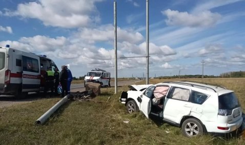 Под Каширой иномарка влетела в столб: пассажира госпитализировали с переломом