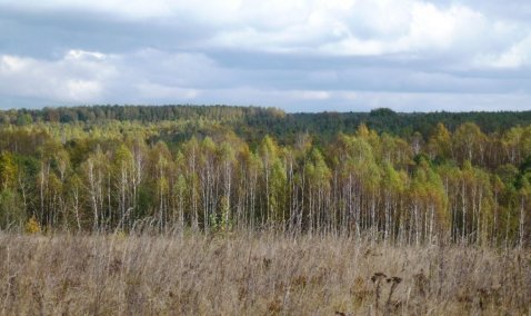 Пчеловодов из Каширы оштрафовали на 800 тысяч рублей на сорняки на участке