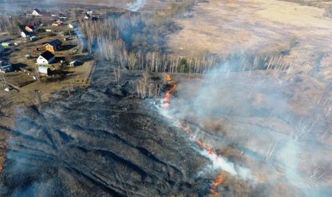 Пять мест, подверженных лесным пожарам, назвали в Кашире