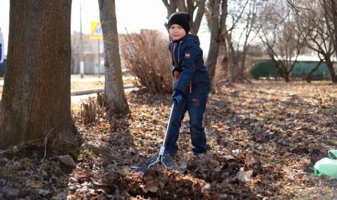 Адреса городского субботника обнародовали в Кашире