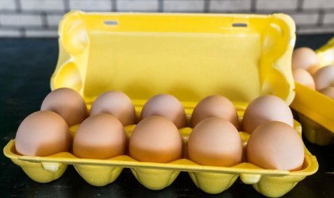 Кашира станет лидером Подмосковья по производству яиц
