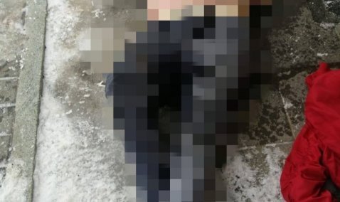 Полураздетый труп женщины обнаружили на улице в Кашире-1