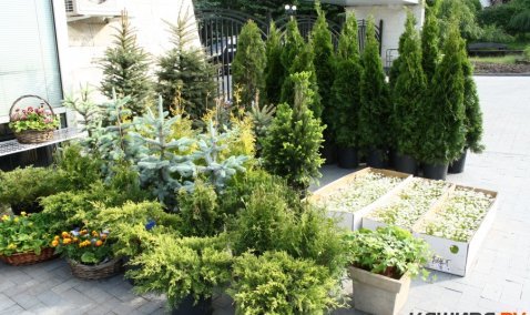 В Кашире возьмутся за благоустройство кладбищ