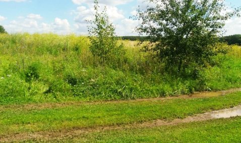 Собственник сельхозземель в Кашире ответит в суде за нарушение законодательства