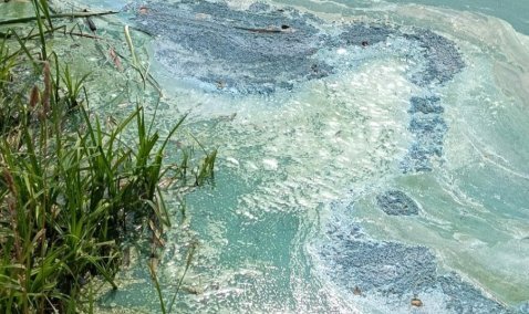 Еще один пруд рядом с Каширой обрел неестественный цвет и запах