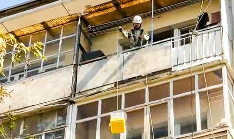 Волонтеры в Кашире организовали спасение кошки, запертой в пустующей квартире